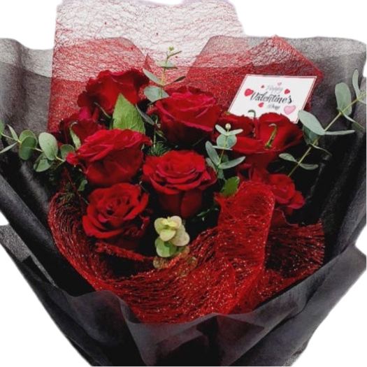 Scarlet Noir Romance