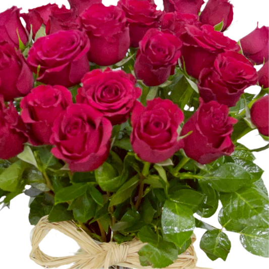 Valentine's Day Bunch of Roses