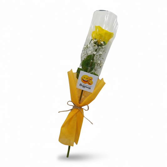 Happiness Day special