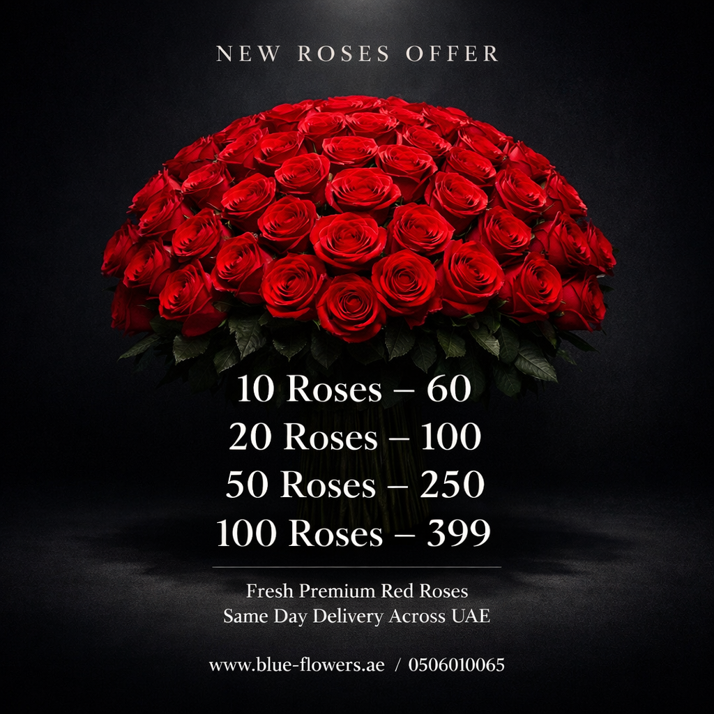 Roses Offer