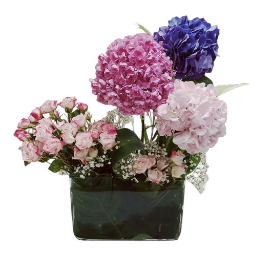 The Hydrangea Harmon