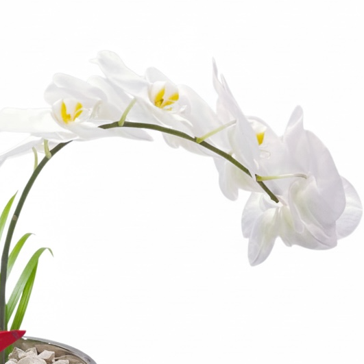 The Ramadan Orchid Edit