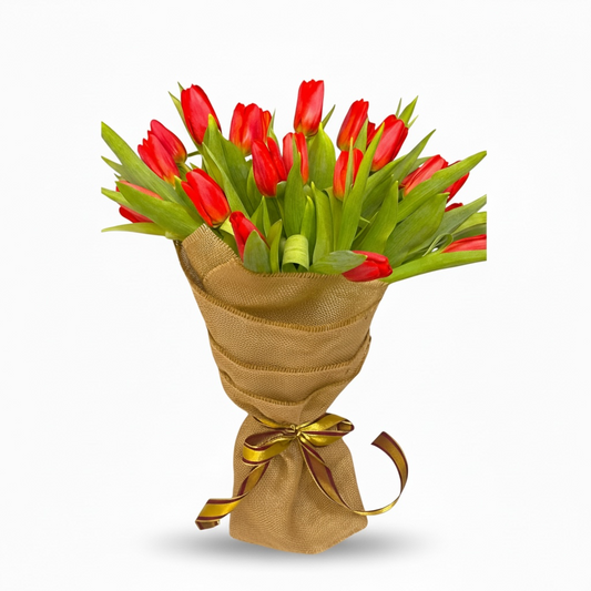 Golden Red Tulip Splendor