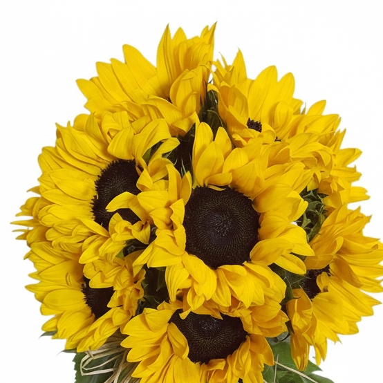 Sunshine Garden