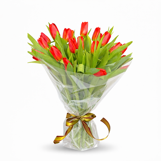 Tulip Moments