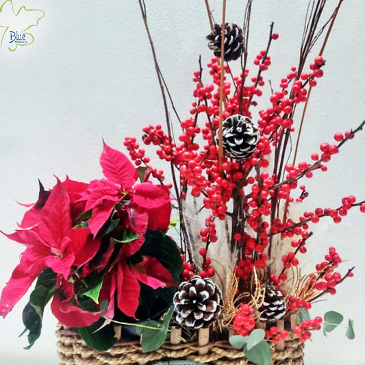 Christmas Themed Basket