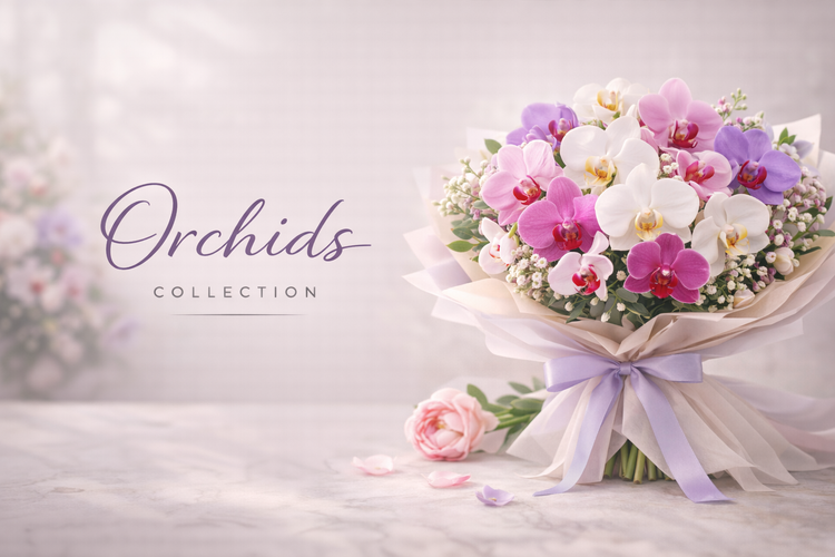 Orchids
