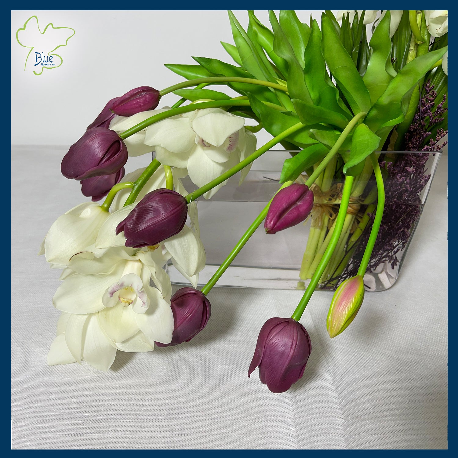 Orchids