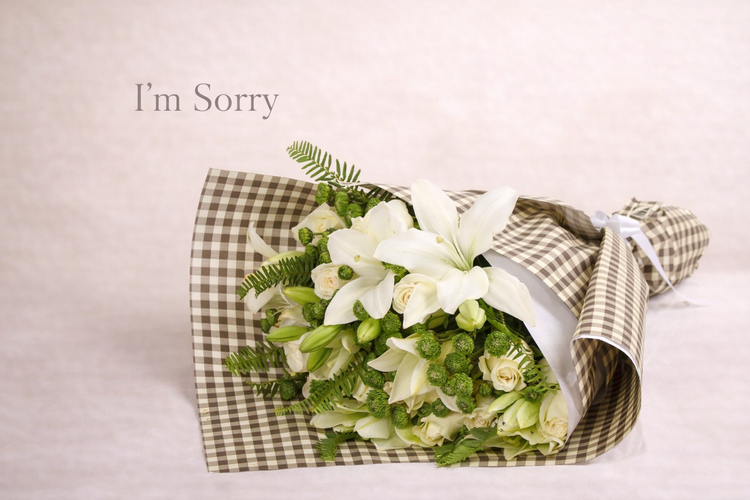 I am Sorry