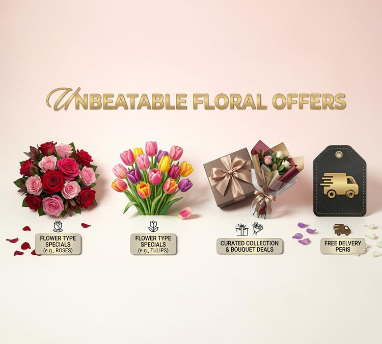 Special Offers & Seasonal Deals