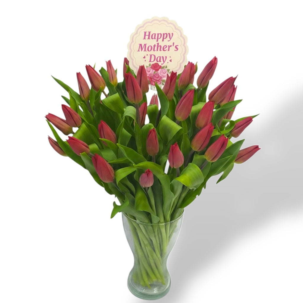 Bouquet of red tulips in a clear vase with a 'Happy Mother's Day' card on a white background