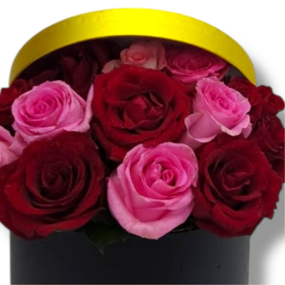 Rosy Radiance