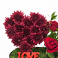 Scarlet Heart Harmony