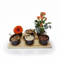 Ramadan Tray