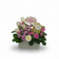 Sweet Devotion Arrangement