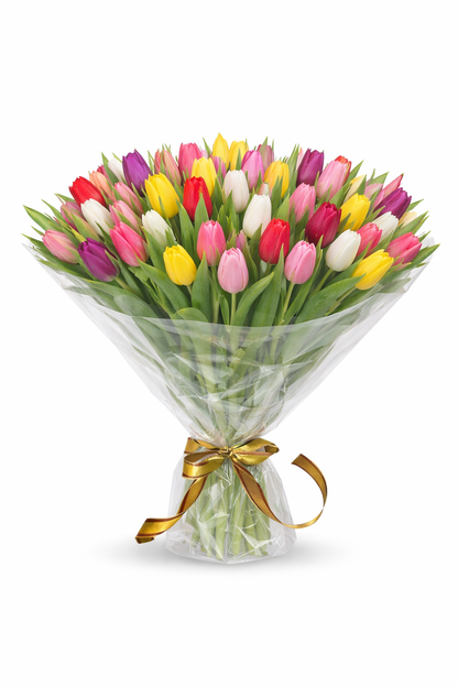 Tulip Moments