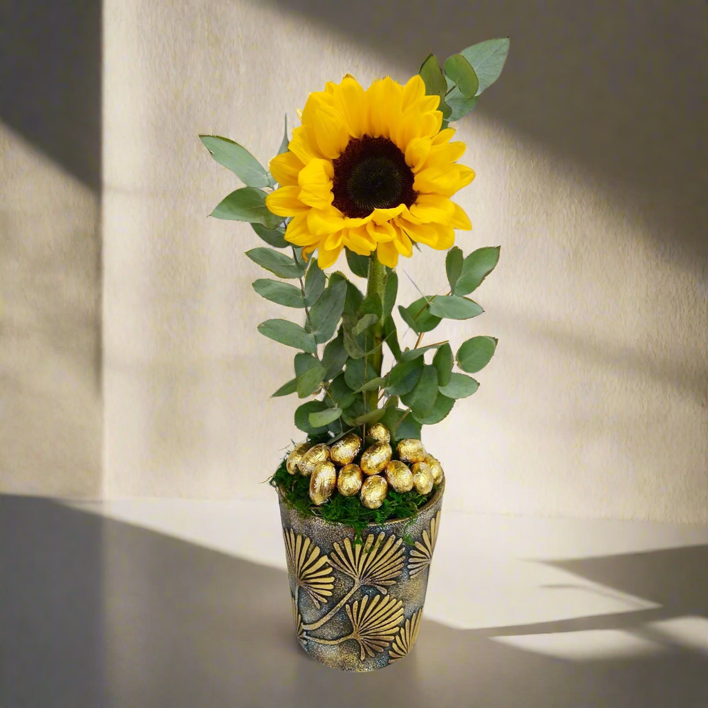 Golden Solstice