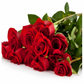 Deluxe Roses