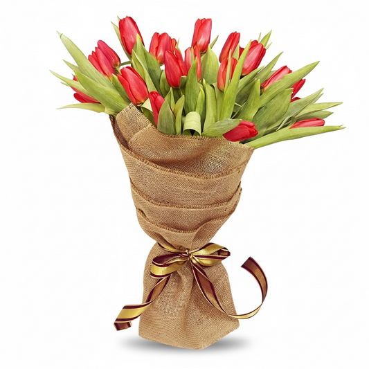 Golden Red Tulip Splendor