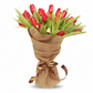 Golden Red Tulip Splendor