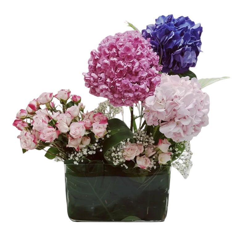 The Hydrangea Harmon