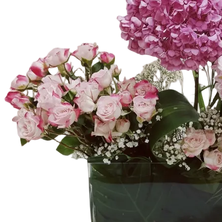 The Hydrangea Harmon