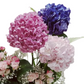 The Hydrangea Harmon