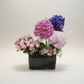 The Hydrangea Harmon