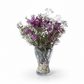 Wild Amethyst Aster