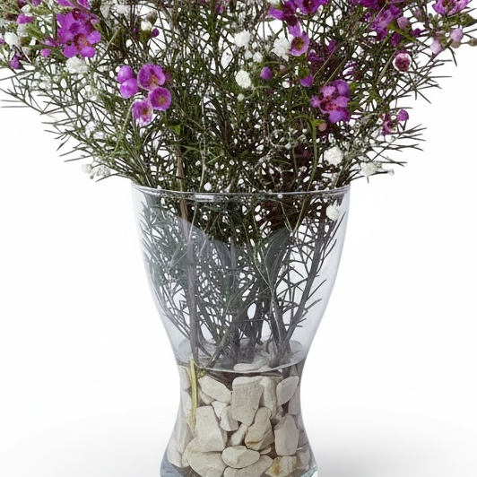 Wild Amethyst Aster