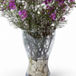 Wild Amethyst Aster