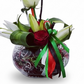 Emirates Elegance