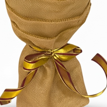 Golden Red Tulip Splendor