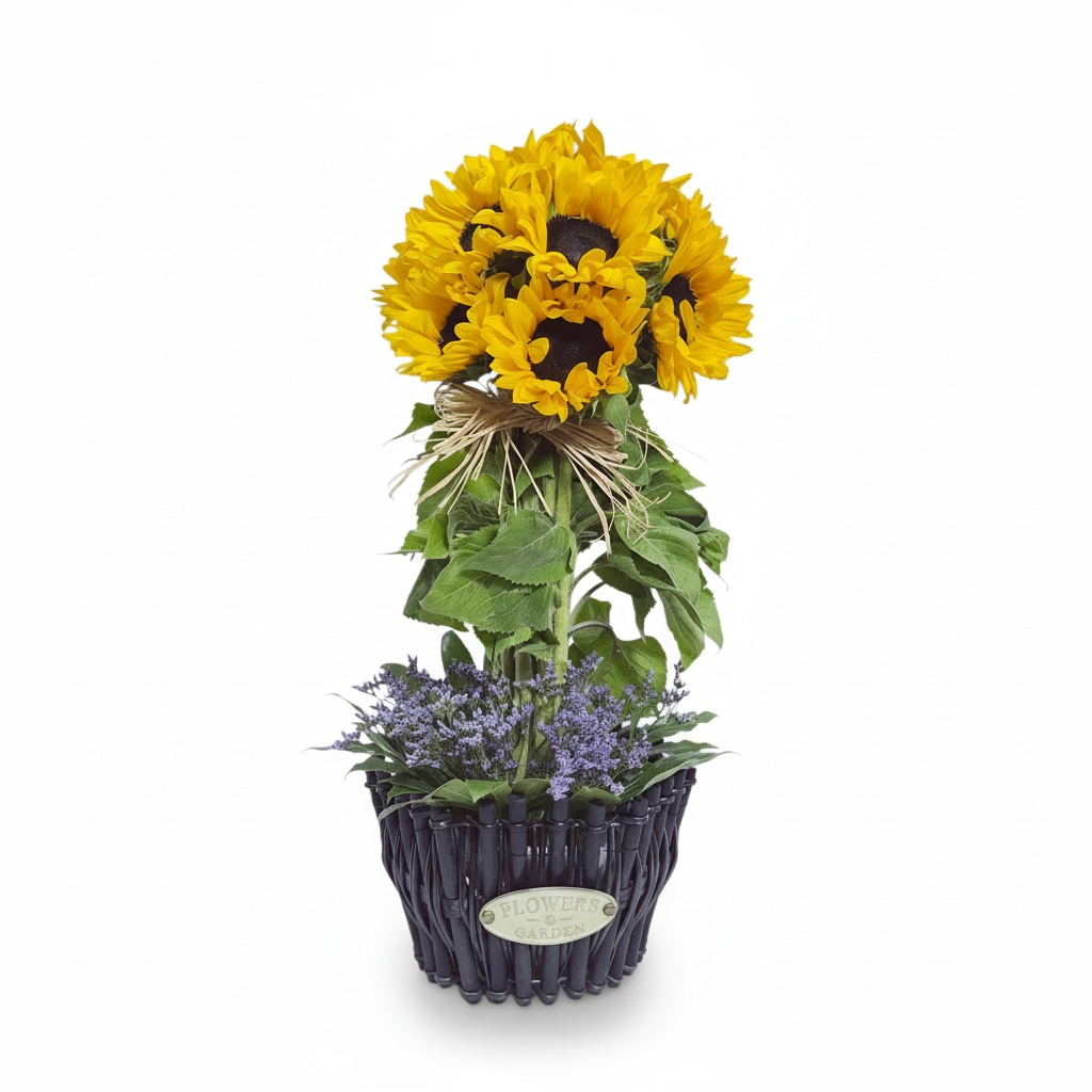 Sunshine Garden
