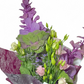 Violet Poetry