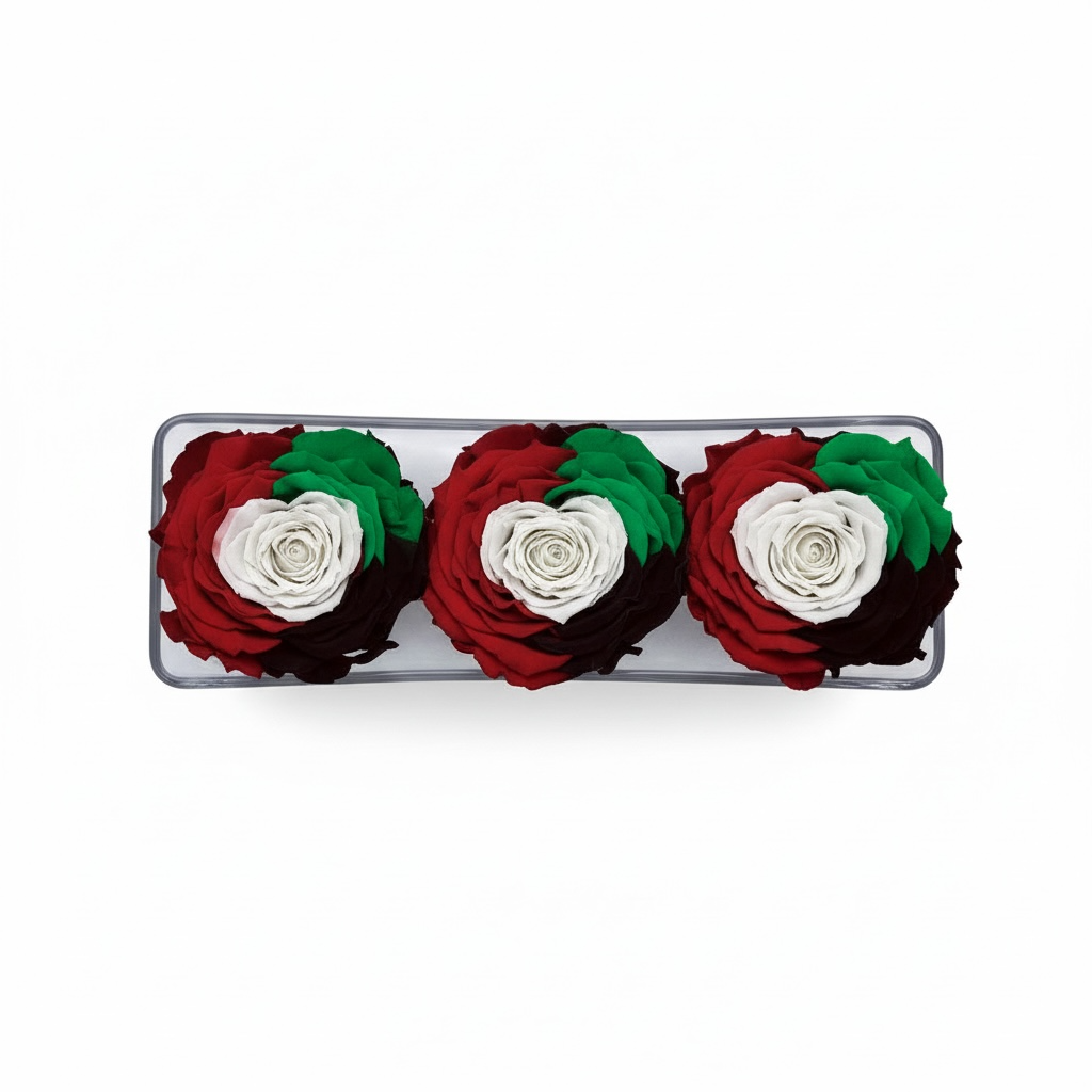 Union Eternity Trio