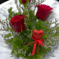 Scarlet Serenade