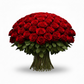 Roses Offer