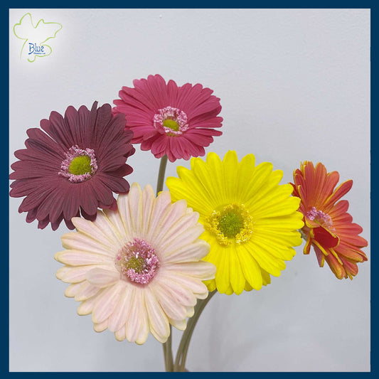 Artificial Gerberas