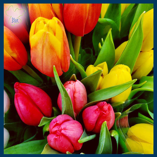 Eid Bunch - Tulips
