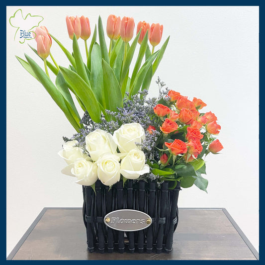 Mar22-0003