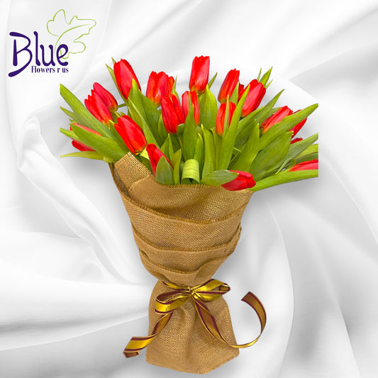 Golden Red Tulip Splendor