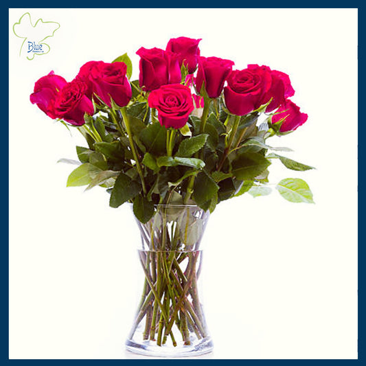 Weekly Roses for your Home