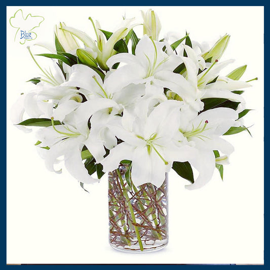 Weekly Lilies (Stargazer) for your Home