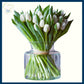 Weekly Tulips
