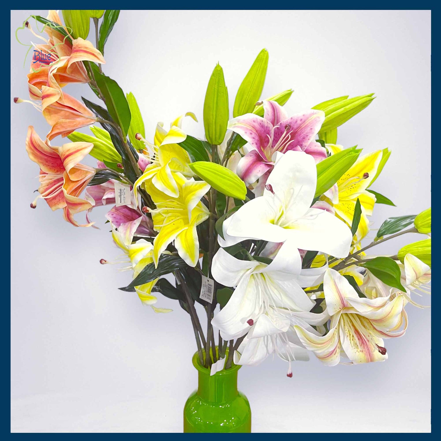 Lilies